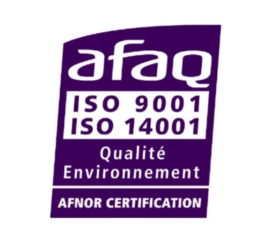 Logo Iso 9007 14001